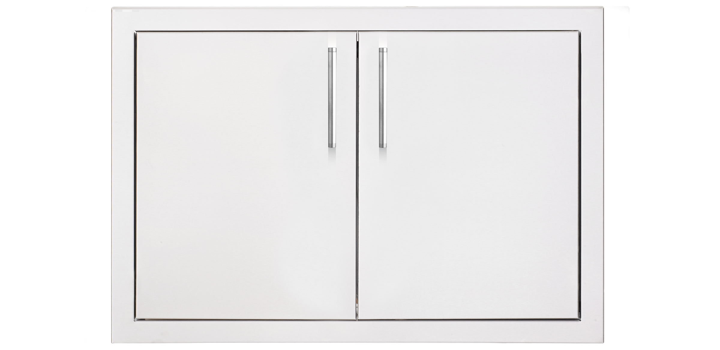 TrueFlame Double Access Door with Hidden Hinge